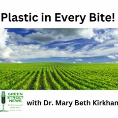 Plastic in Every Bite with Dr. Mary Beth Kirkham