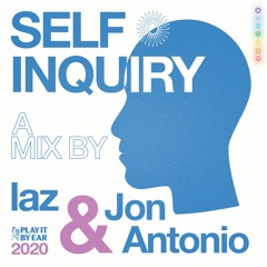 self inquiry