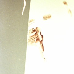 Short Free Improvisation Trio