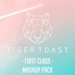 Tiger Toast 'First Class' Mashup Pack (2022) - [10 TRACKS]