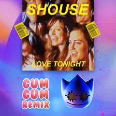 Love Tonight X Superlove Mashup (Gum Gum Remix)