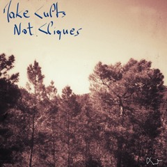 Make Cults Not Cliques (cover)