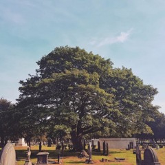 La Humildad Premiada