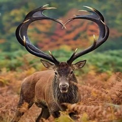 Art Of Minimal Techno Android Generation - Patrick Slayer & Adonis & Enio Prod.mp3