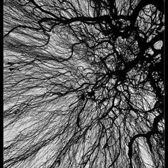 Extrakt NAZTEK23 vs BUBULLE