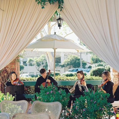 String Quartet