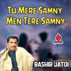 Tu Mere Samny Men Tere Samny