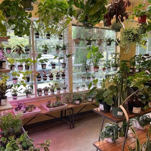 City People's Garden Store Is Closing And Not Because It Wants To
