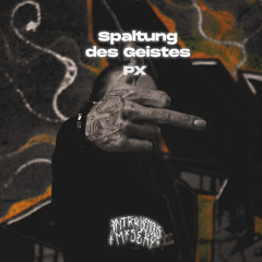 Spaltung des Geistes