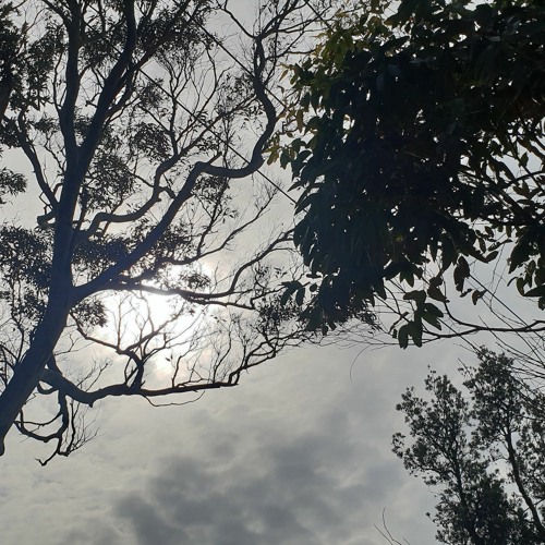 Soul-CTRL : I Need You Now (18/9/20)