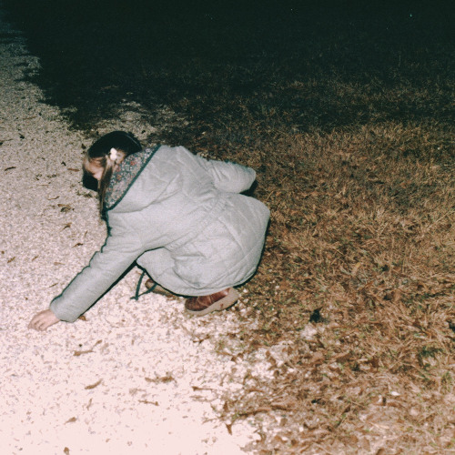 face down in the mud