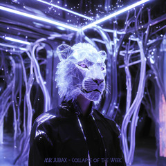 MR'JUBAX - Collapse of the Week