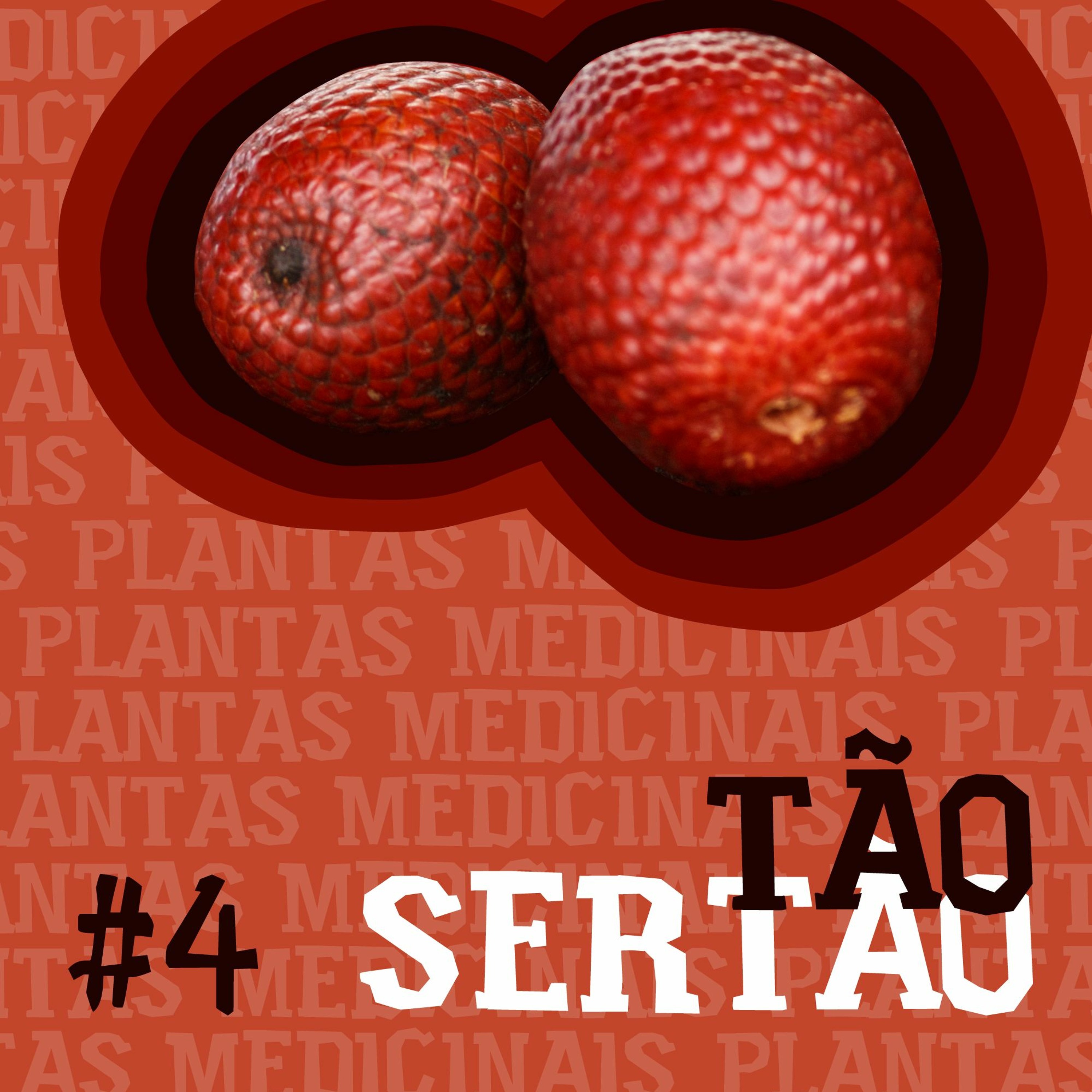 WWF-Brasil