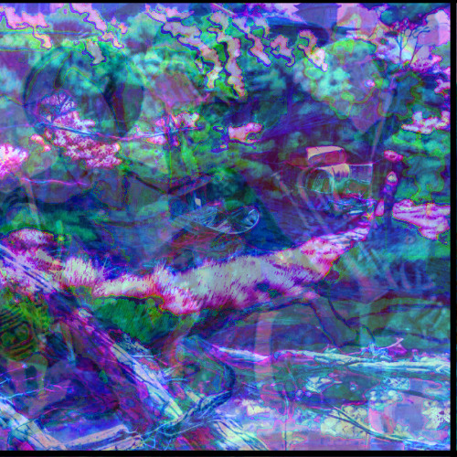 finding some joy in life while fluid fills the lungs | Untitled Project 002 Sessions | Ambient Experimental Horror | paris august 6 take 2 90 bpm