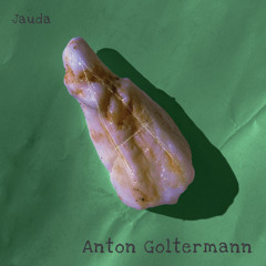 JAUDA018 - Anton Goltermann