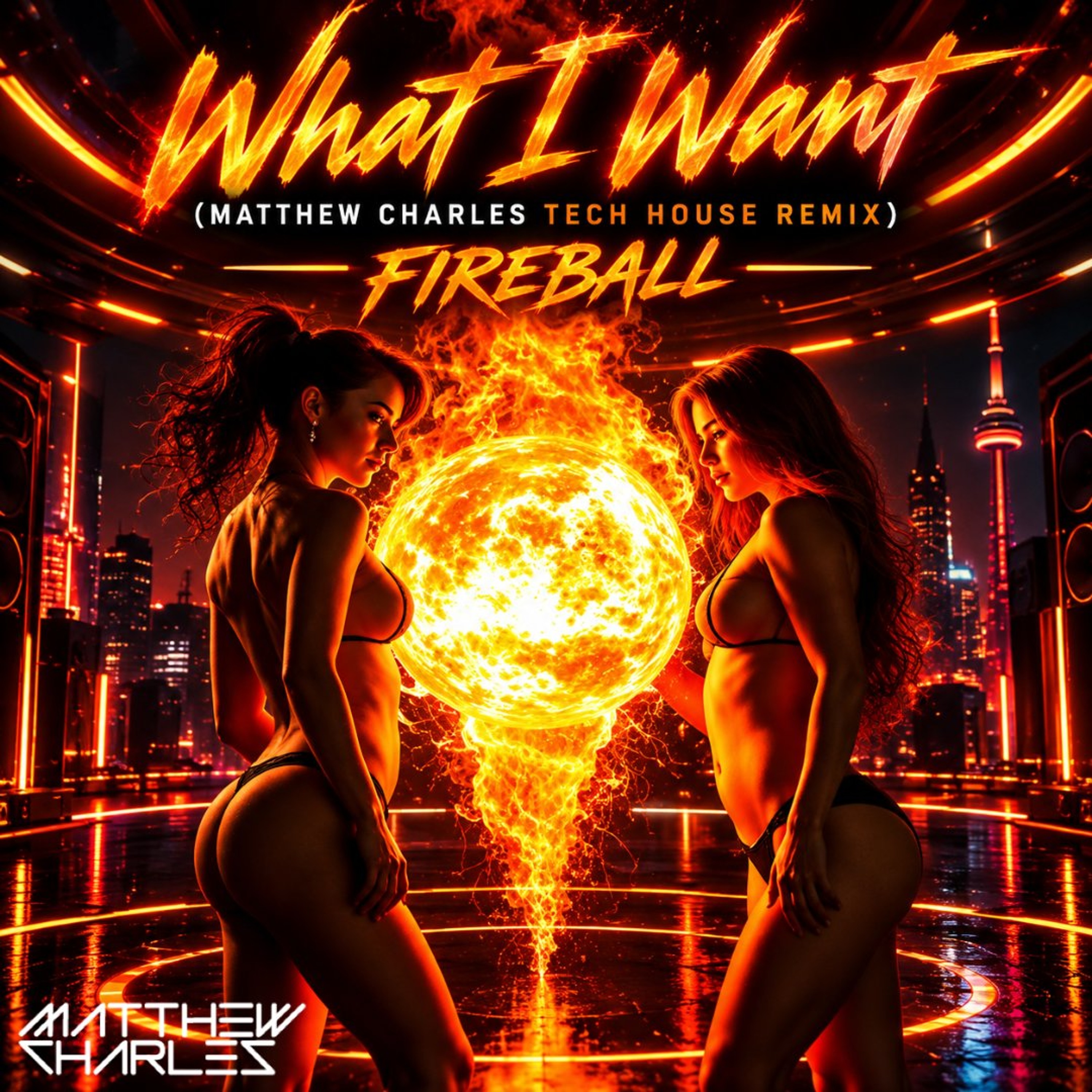 What I Want (Matthew Charles Tech House Remix) episode artwork