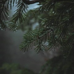 تغذية الروح