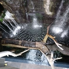 Waterfall Disstrack
