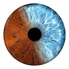 Unseen (featuring Cxlxstical)