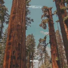 Mango Cult - Sequoia (VieL Remix) [3rd Avenue]