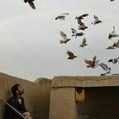 سورة الكهف 💗🍃🌾