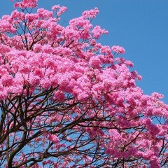 You & Me (Flume Remix) (TANMU's DNB Flip) FREE DL