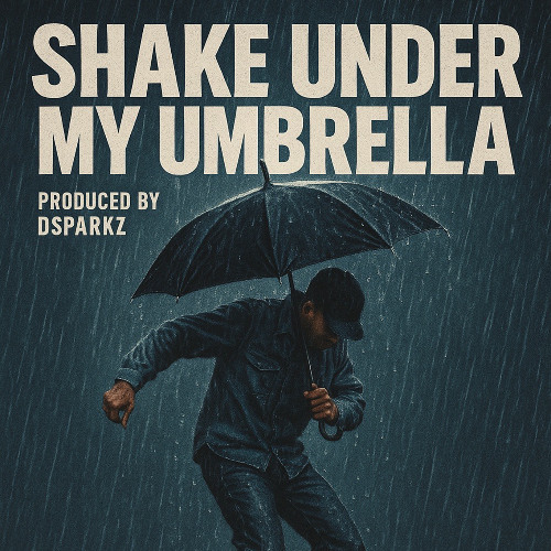 DSparkz  Beat (Shake under my Umbrella  )