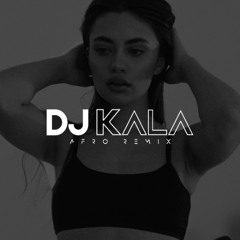 Dj Kala x Puya - Doamna si Bagabontul (Afro Remix)