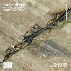 Basic Needs with Valesuchi - "Centro da força"
