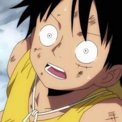 convolk - birdwatching