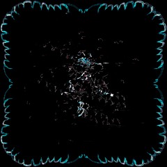 Future, Lil Baby - All My Life [prey coded tool]