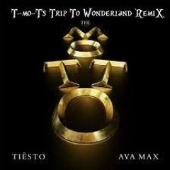 Tiësto - The Motto (T - Mo - T's Trip To Wonderland Remix)