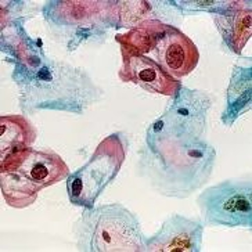 da.villians.bite.demolo ft. zainghis