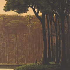 El Búho - Great Bear Rainforest