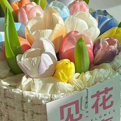 Nguyên - như ngày đầu tiên