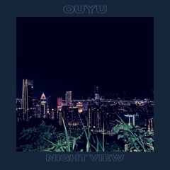 Night View Clip
