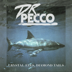 DrPECCO - Duomo Climb