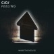 on CJDJ - Feeling