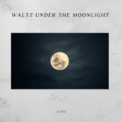 Waltz Under The Moonlight
