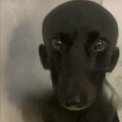 okayyyy lets goww (Milchprodukte Remix)