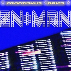 Franziskus Bries - zn+mrn (Trance)