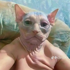 рашн плаг