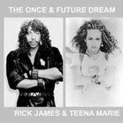 Rick James & Teena Marie Mix