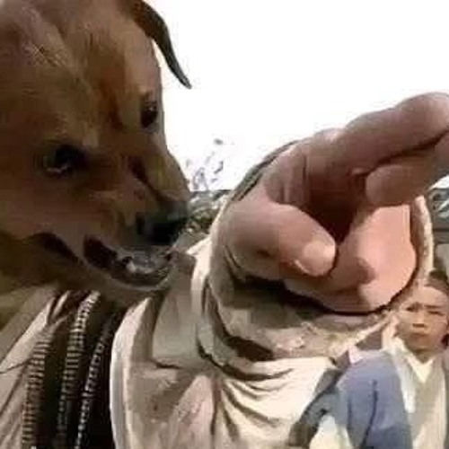 OMEN-Happy Vibe Chinese vina set