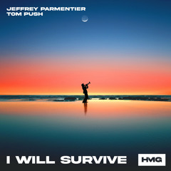 Jeffrey Parmentier, Tom Push - I Will Survive
