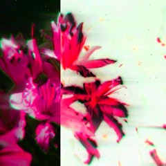 this ain't love (prod. 308)