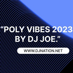 DJ Nation - Poly Vibes 2023 (DJ Joe)