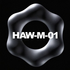 EGON ELLIUT – HAW-LIN MIX 01