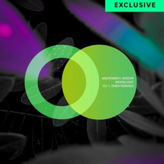 Andrewboy, Noidor - Moonlight I Area Verde records