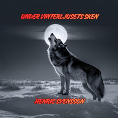 Under vinterljusets sken